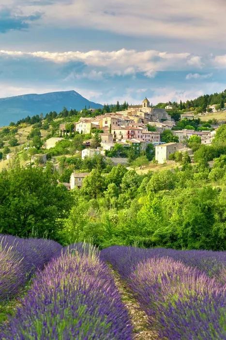 Framed Print : France, Provence Alpes Cote d'Azur, Vaucluse, Luberon, the hilltop village of Aurel with a lavender field in front Framed Print : France, Provence Alpes Cote d'Azur, Vaucluse, Luberon, the hilltop village of Aurel with a lavender field in front