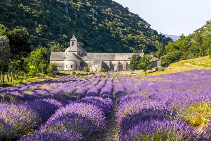 Framed Print : France, Provence Alps Cote d Azur, Haute Provence, Cistercian monastery of Senanque Framed Print : France, Provence Alps Cote d Azur, Haute Provence, Cistercian monastery of Senanque