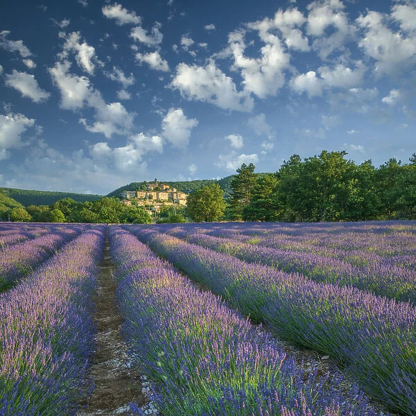 France; Provence; Provence-Alpes-Cote d Azur; Banon