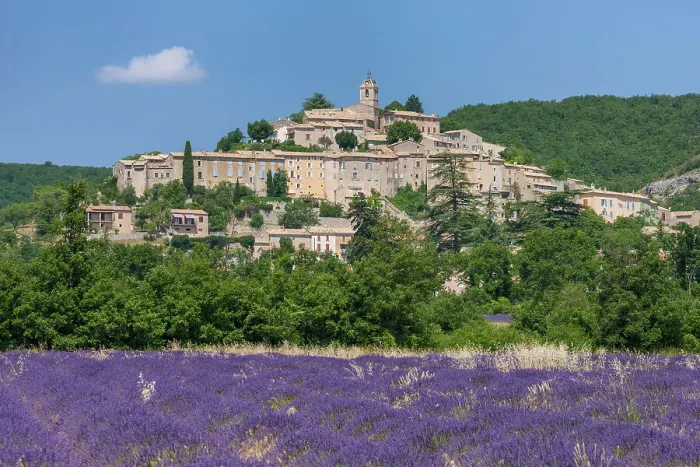 Framed Print : France, Provence, region Alpes-de-Haute-Provence, Banon town, Lavender field Framed Print : France, Provence, region Alpes-de-Haute-Provence, Banon town, Lavender field