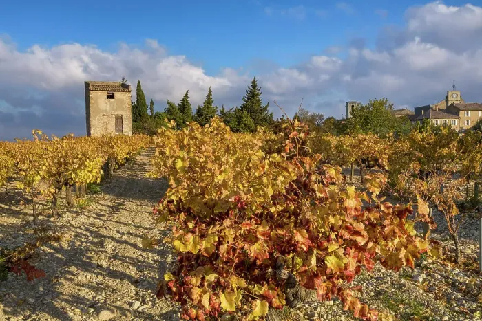 Framed Print : France, Provence, region Vaucluse, near Buisson village, autumn, vineyard Framed Print : France, Provence, region Vaucluse, near Buisson village, autumn, vineyard