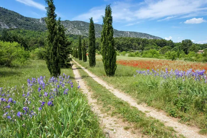 Framed Print : France, Provence, region Vaucluse, near Oppede-le Viex village Framed Print : France, Provence, region Vaucluse, near Oppede-le Viex village