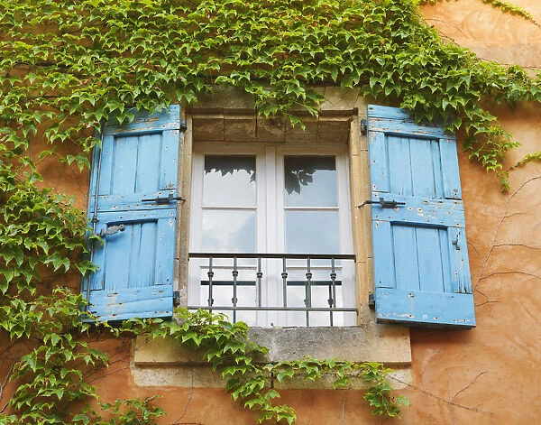 France, Provence, Vaucluse, Roussillion, ivy covered window