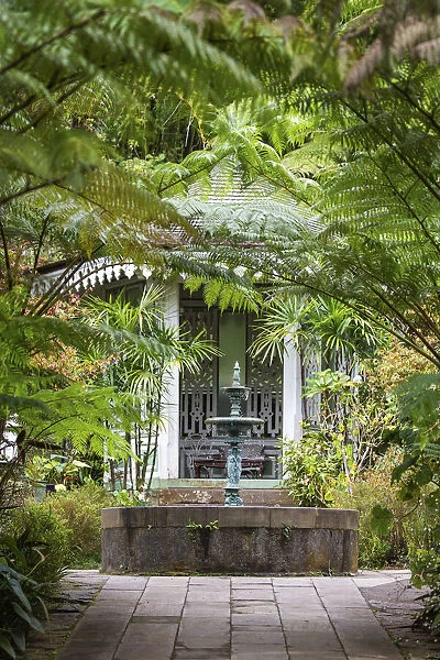 France, Reunion Island, Hell-Bourg, The Maison Folio garden