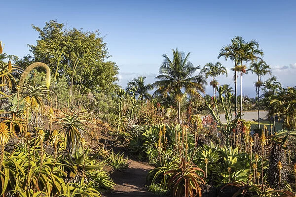 France, Reunion Island, Saint-Leu, Landscape at the Mascarins Botanic Garden
