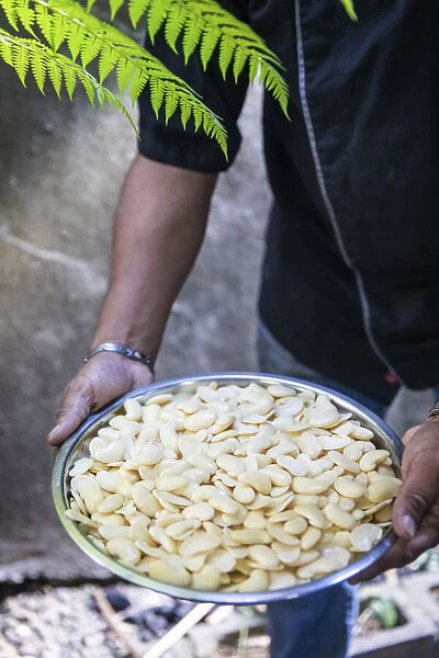 France, Reunion Island, Sainte-Suzanne, Hindu chef showing a plate of white beans