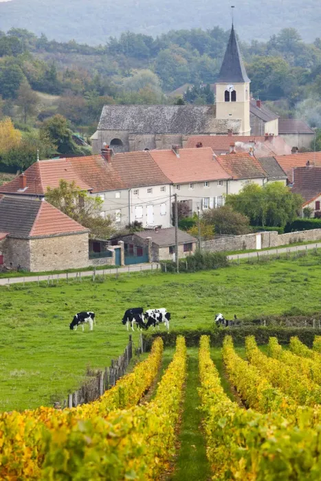 Framed Print : France, Saone-et-Loire Department, Burgundy Region, Maconnais Area, Ozenay Framed Print : France, Saone-et-Loire Department, Burgundy Region, Maconnais Area, Ozenay