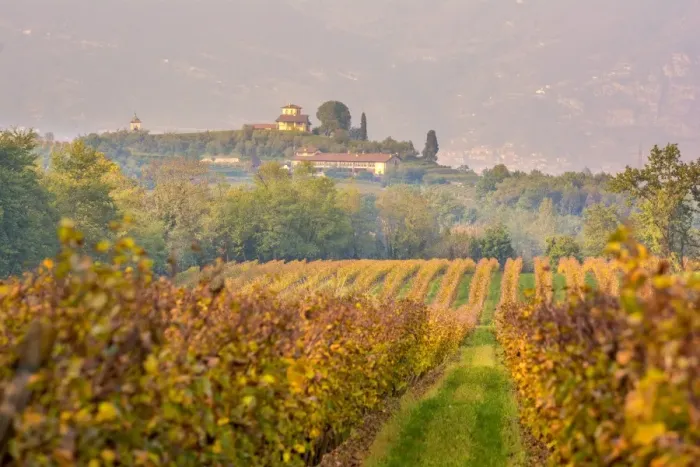 Framed Print : Franciacorta, Brescia province, Lombardy district, Italy, Europe Framed Print : Franciacorta, Brescia province, Lombardy district, Italy, Europe