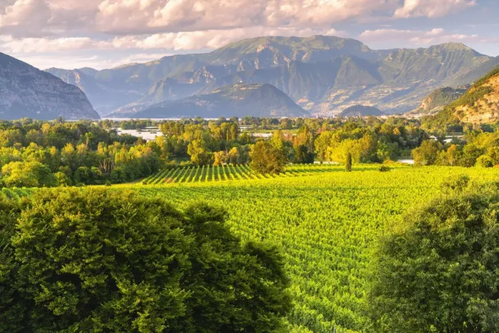 Framed Print : Franciacorta in summer season, Brescia province in Lombardy district, Italy