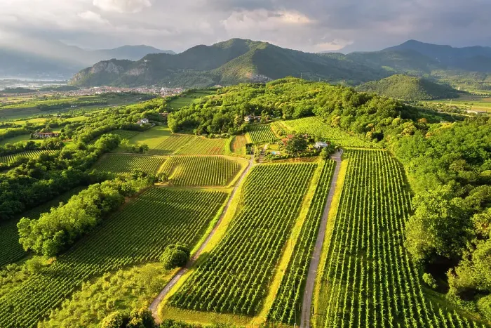 Framed Print : Franciacorta vineyards aerial view at sunset in Brescia province, Lombardy district, Italy Framed Print : Franciacorta vineyards aerial view at sunset in Brescia province, Lombardy district, Italy