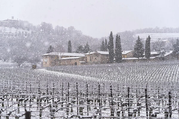 Franciacorta vineyards during a snowfall, Brescia province in Lombardy district, Italy