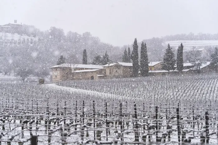 Framed Print : Franciacorta vineyards during a snowfall, Brescia province in Lombardy district, Italy Framed Print : Franciacorta vineyards during a snowfall, Brescia province in Lombardy district, Italy