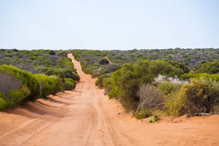 Framed Print : Francois Peron, Wester Australia. Red Sand road Framed Print : Francois Peron, Wester Australia. Red Sand road