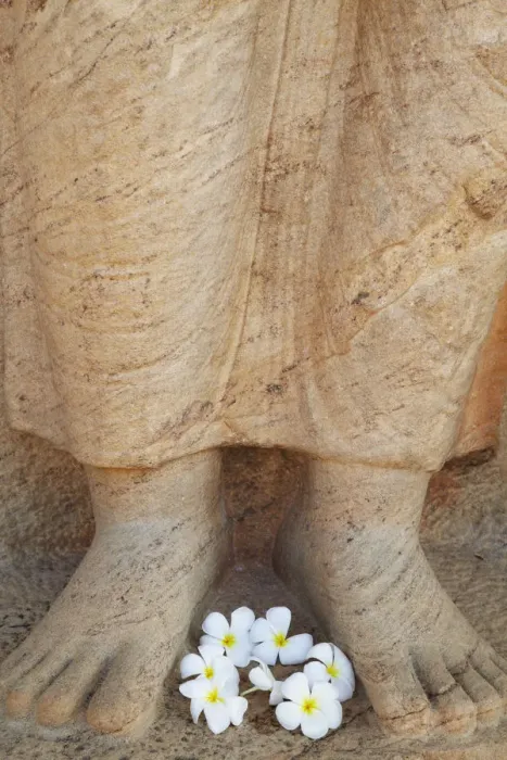 Framed Print : Frangipani flowers at feet of statue of Parakramabahu, Southern Ruins, Polonnaruwa