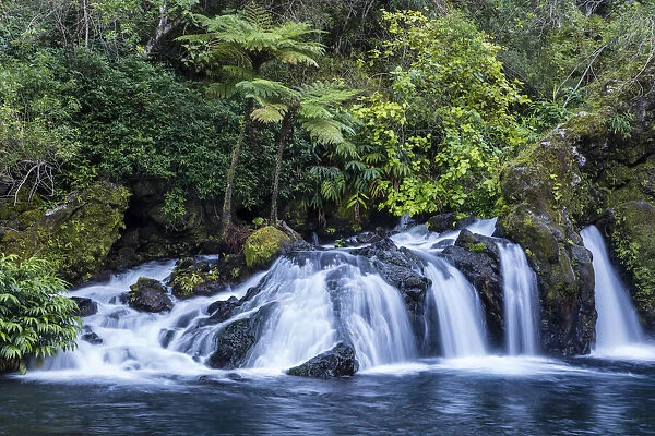 French Overseas Territory, La Reunion, Cascades Trou Noir waterfall