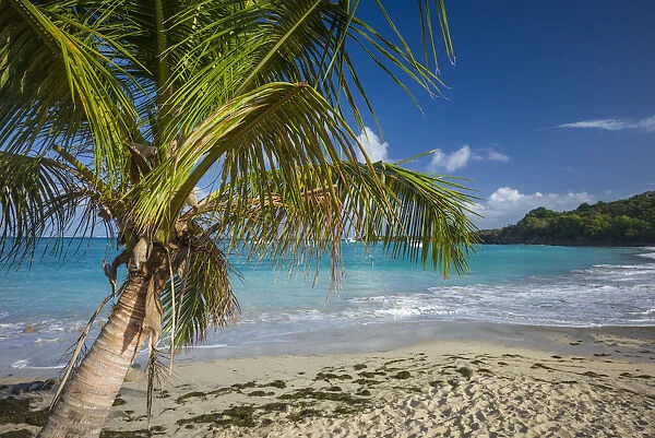 French West Indies, St-Martin, Friars Bay, beach