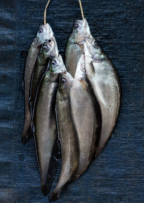 Framed Print : Fresh fish, Inle Lake, Myanmar (Burma), Asia Framed Print : Fresh fish, Inle Lake, Myanmar (Burma), Asia