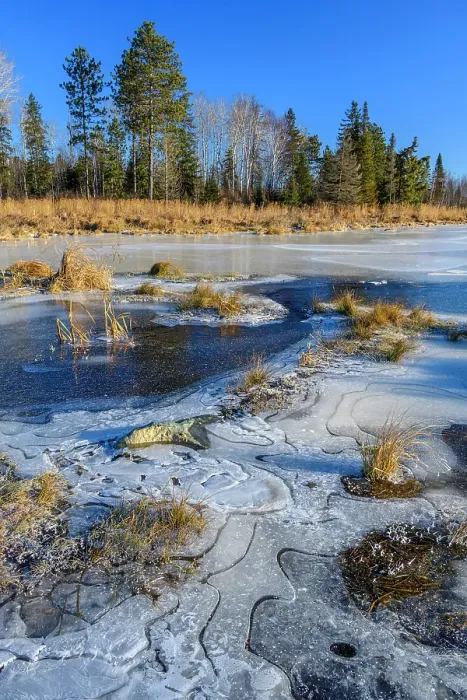 Framed Print : Fresh ice and frost in a beaver pond at freeze-up, Greater Sudbury, Ontario, Canada Framed Print : Fresh ice and frost in a beaver pond at freeze-up, Greater Sudbury, Ontario, Canada