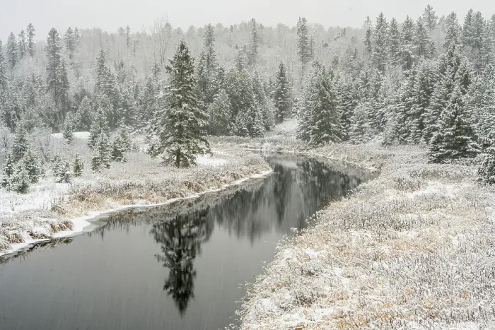 Framed Print : Fresh snow on Junction Creek shoreline trees, Greater Sudbury, Ontario, Canada Framed Print : Fresh snow on Junction Creek shoreline trees, Greater Sudbury, Ontario, Canada