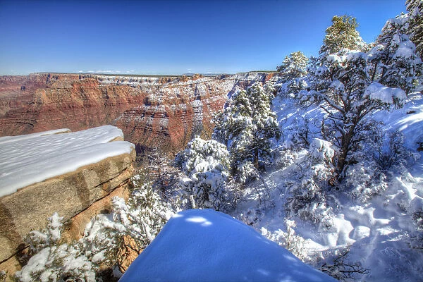 Fresh Snowfall Along South Rim, Grand Canyon National Park, Arizona, USA