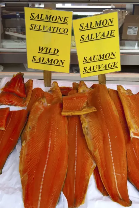 Framed Print : Fresh Wild Salmon on sale in Bergens famous Fish Market, Bergen, Hordaland, Norway Framed Print : Fresh Wild Salmon on sale in Bergens famous Fish Market, Bergen, Hordaland, Norway