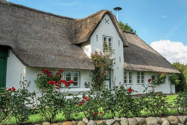 Friesian house in Hedehusum on Foehr, Foehr Island, North Friesland, Schleswig-Holstein, Germany, Europe