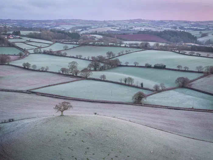 Framed Print : Frost covered countryside at dawn, Devon, England. Winter (January) 2024 Framed Print : Frost covered countryside at dawn, Devon, England. Winter (January) 2024