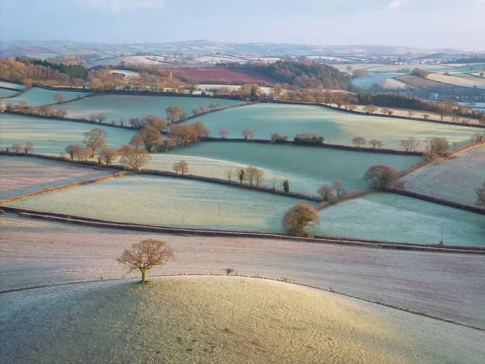Framed Print : Frost covered countryside in rural Devon, England. Winter (January) 2024 Framed Print : Frost covered countryside in rural Devon, England. Winter (January) 2024