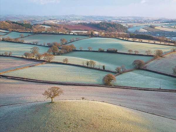 Frost covered countryside in rural Devon, England. Winter (January) 2024