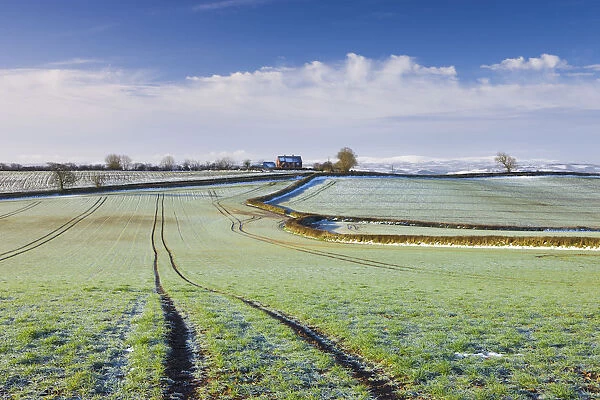 Frost covered farmland in Morchard Bishop, Mid Devon, England. March 2009
