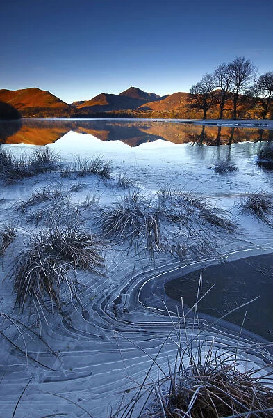 Frost Along Derwent Water, Lake District National Park, Cumbria, England