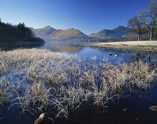 Frost on Derwent Water, Lake District National Park, Cumbria, England