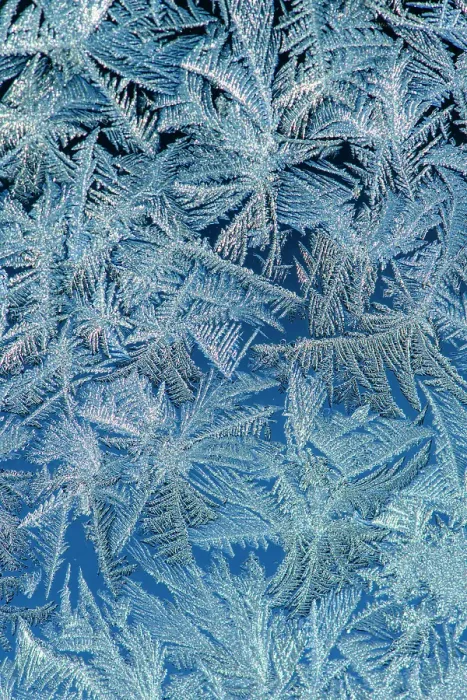 Framed Print : Frost formations on a window on a cold morning, Greater Sudbury, Ontario, Canada Framed Print : Frost formations on a window on a cold morning, Greater Sudbury, Ontario, Canada