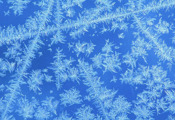Frost pattern on window, Winnipeg, Manitoba, Canada