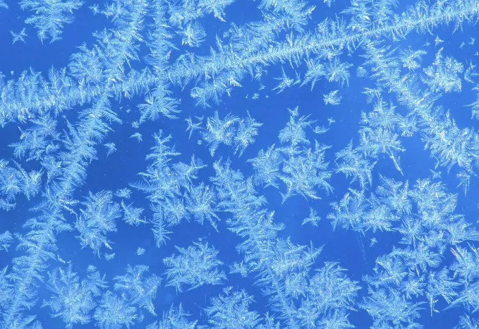 Framed Print : Frost pattern on window, Winnipeg, Manitoba, Canada