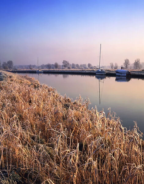 Frost along River Waveney, Gillingham Marshes, Norfolk, England