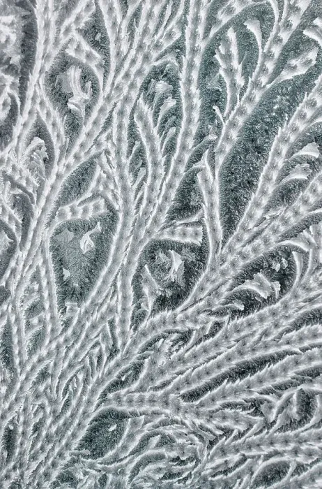 Framed Print : Frost on window pane, Thornton, Ontario, Canada Framed Print : Frost on window pane, Thornton, Ontario, Canada