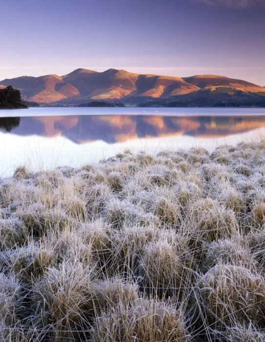 Framed Print : Frosted Grasses & Skiddaw Reflecting in Derwent Water, Lake District National Park Framed Print : Frosted Grasses & Skiddaw Reflecting in Derwent Water, Lake District National Park