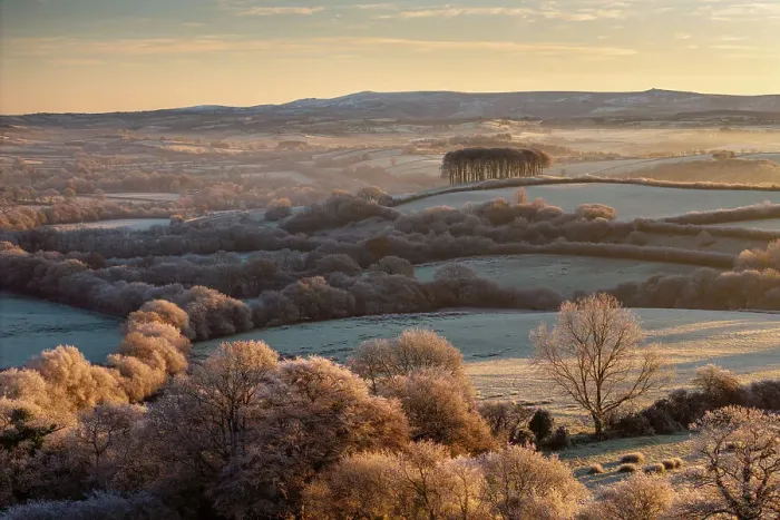 Framed Print : Frosted trees and countryside near Cookworthy Knapp (Nearly Home Trees) near Lifton, Devon, England. Autumn (November) 2023 Framed Print : Frosted trees and countryside near Cookworthy Knapp (Nearly Home Trees) near Lifton, Devon, England. Autumn (November) 2023