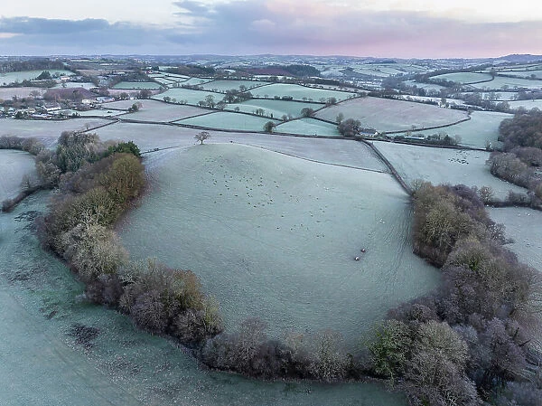 Frosty rural countryside at dawn on a winter morning, Devon, England. Winter (January) 2024