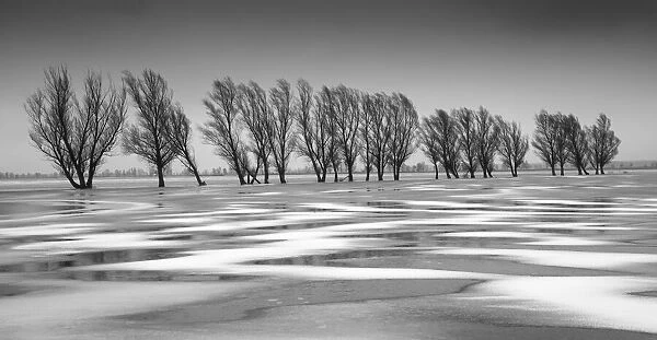 Frozen floodwater, Biebrza Marshes, Poland