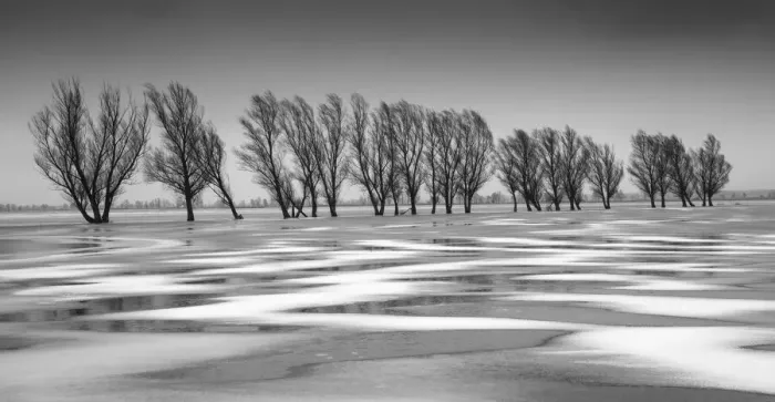 Framed Print : Frozen floodwater, Biebrza Marshes, Poland Framed Print : Frozen floodwater, Biebrza Marshes, Poland