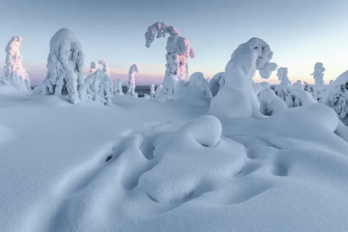 Framed Print : Frozen forest on Kuntivaara Fell, Kuusamo, Finland