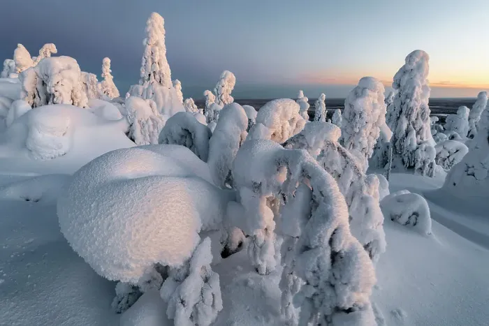 Framed Print : Frozen forest on Kuntivaara Fell, Kuusamo, Finland