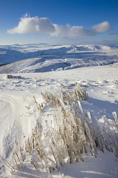 Frozen grass on the snow covered slopes of Pen y Fan mountain in the Brecon Beacons