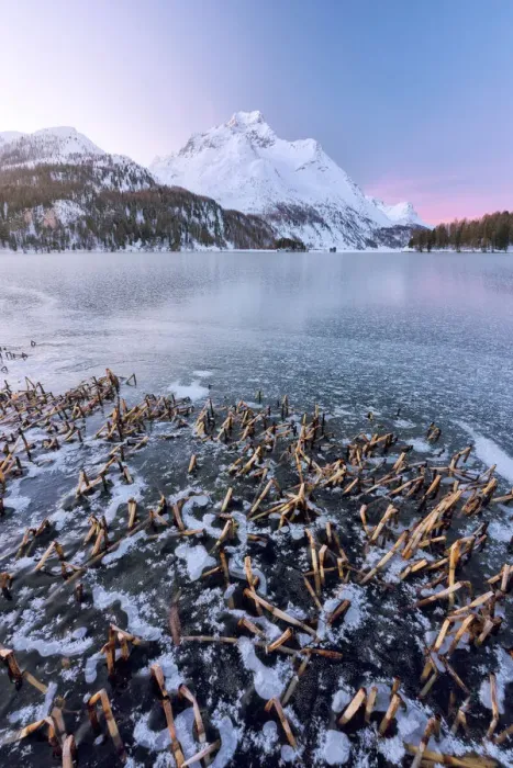 Framed Print : the frozen lake of Sils photographed on a cold winter morning, Engadine
