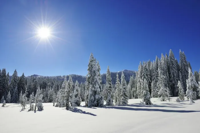 Framed Print : The frozen landscape on the Fellhorn, Reit im Winkl, Bayern, Germany