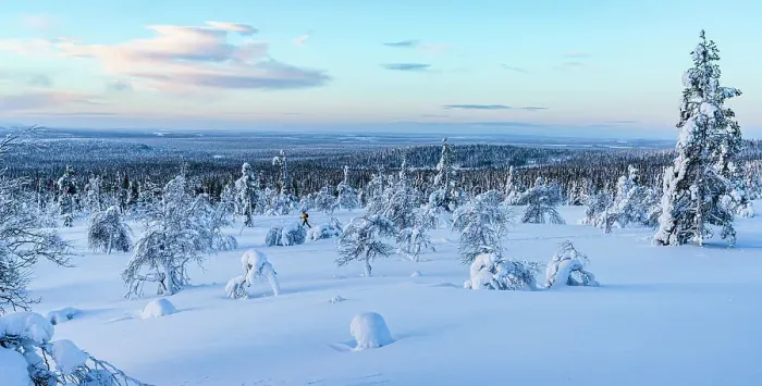 Framed Print : Frozen snowy forest during the cold arctic sunrise, Lapland, Finland Framed Print : Frozen snowy forest during the cold arctic sunrise, Lapland, Finland