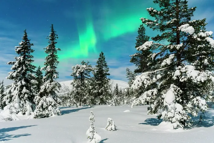 Framed Print : Frozen trees covered with snow under the Northern Lights, Lapland, Finland