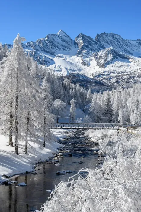 Framed Print : Frozen trees with river on Ceresole Reale, Levanne on background, Orco Valley, Piedmont Framed Print : Frozen trees with river on Ceresole Reale, Levanne on background, Orco Valley, Piedmont